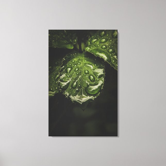 Moody Morning Dew Canvas Druckkunst Leinwanddruck (Vorderseite)