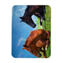 Moody Mountain Horses: Ein Kunstwerk 