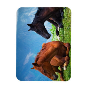 Moody Mountain Horses: Ein Kunstwerk  Magnet