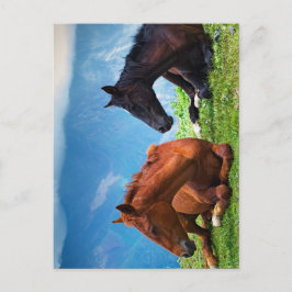 Moody Mountain Horses: Eine Reise in die feine Kun Postkarte