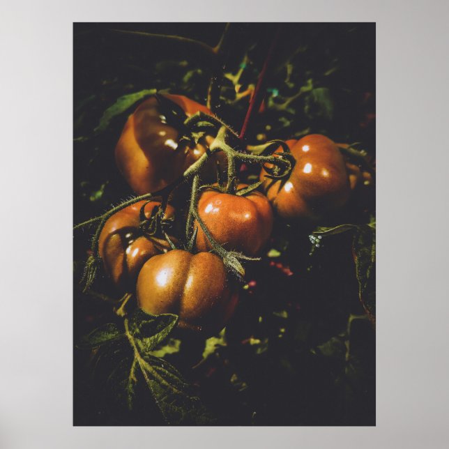 Moody Rustic Tomatoes Vintage Farmhouse Kitchen Poster (Vorne)
