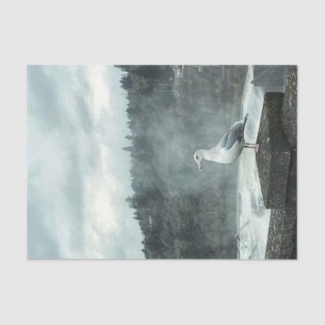 Moody Seagull Decoupage Seidenpapier (Vorderseite)