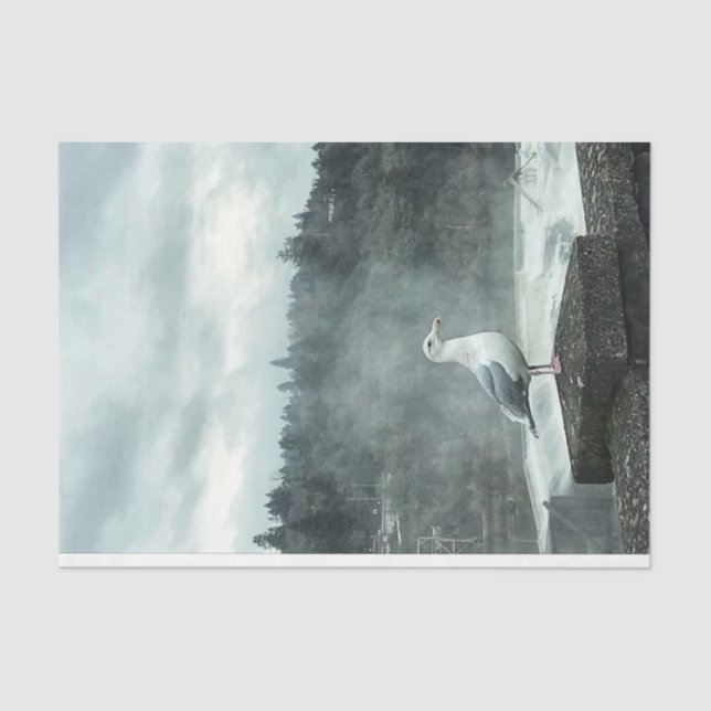 Moody Seagull Decoupage Seidenpapier (Vorderseite)