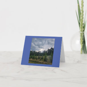 Moody sky and Pines Karte