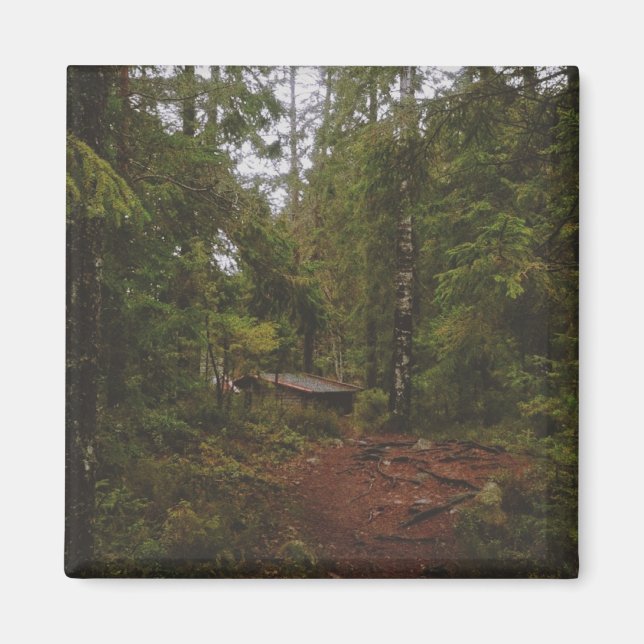 Moody Swedish Forest Magnet (Vorne)