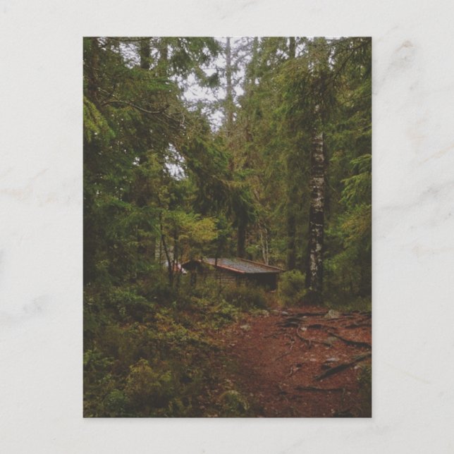 Moody Swedish Forest Postkarte (Vorderseite)