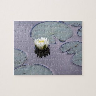Moody Water Lily Puzzle