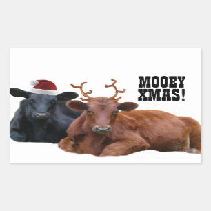 Mooey frohe Weihnachten schüchtern Aufkleber ein