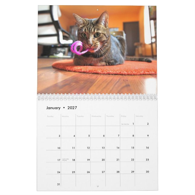 Mooki u. Kiko 2010 Kalender (Jan 2027)