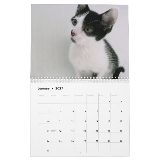 Mooki u. Kiko Kalender (Jan 2027)