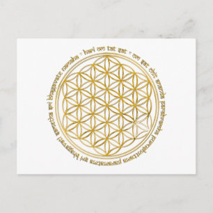 Moola Mantra / Blume des Lebens Postkarte