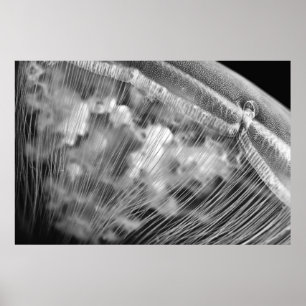 Moon Beads - Poster
