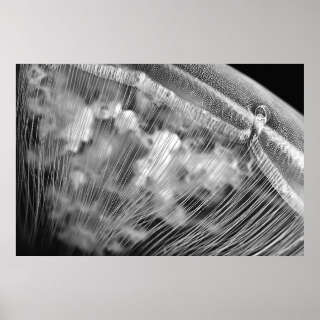 Moon Beads - Poster (Vorne)