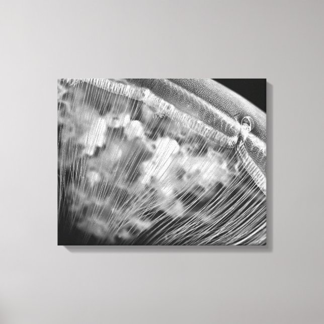 Moon Beads - Stretchierte Canvas Print Leinwanddruck (Vorderseite)