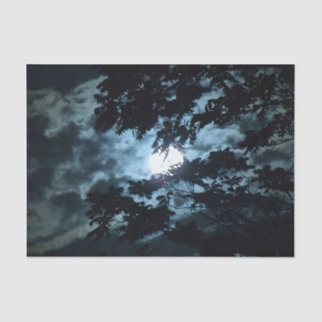 Moon beleuchtet die Nacht hinter Baumzweigen Seidenpapier (Vorderseite)