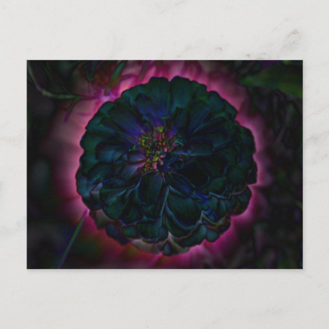 Moon Blume Post Card Postkarte (Vorderseite)