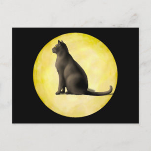 Moon Cat Postkarte