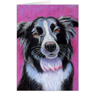 Moon Dog Border Collie