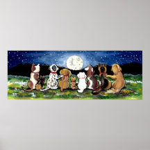 Moon Dog Night Scene Poster Dalmir Spaniel