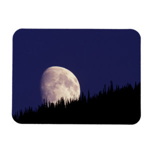 Moon & Forest   Glacier Nationalpark Montana Magnet