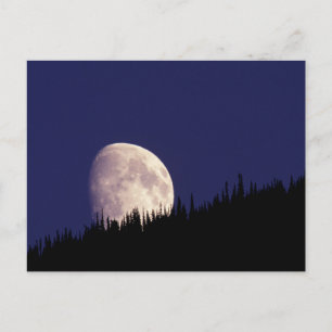 Moon & Forest   Glacier Nationalpark Montana Postkarte
