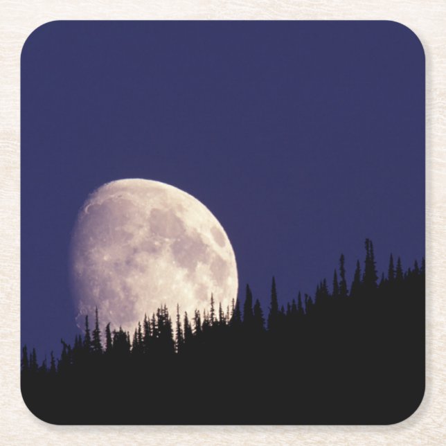 Moon & Forest | Glacier Nationalpark Montana Rechteckiger Pappuntersetzer (Vorderseite)