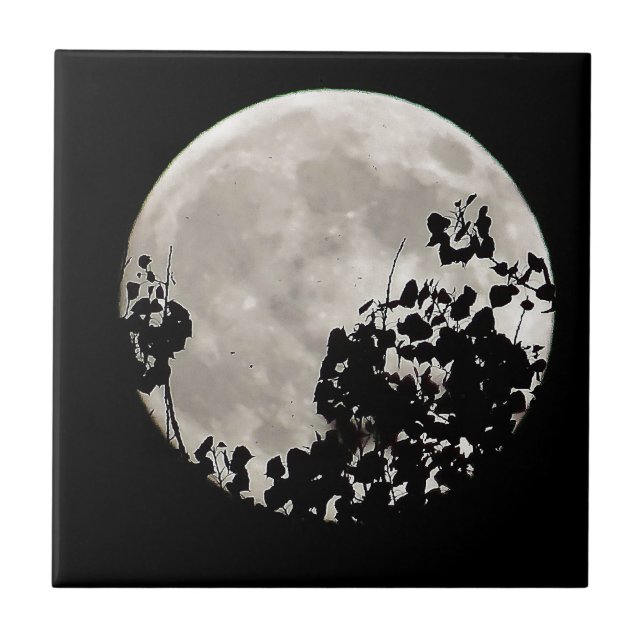 Moon hinter dunklen Blätter Fliese (Vorderseite)