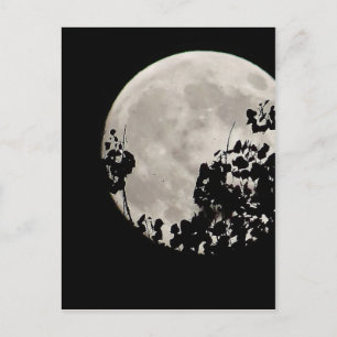 Moon hinter dunklen Blätter Postkarte