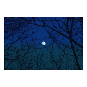 Moon in Ombre Indigo Sky Tree Branches Silhouette Fotodruck
