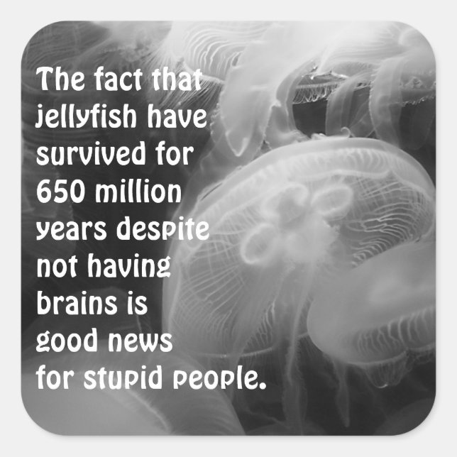 Moon Jellyfish Sticker (Vorderseite)