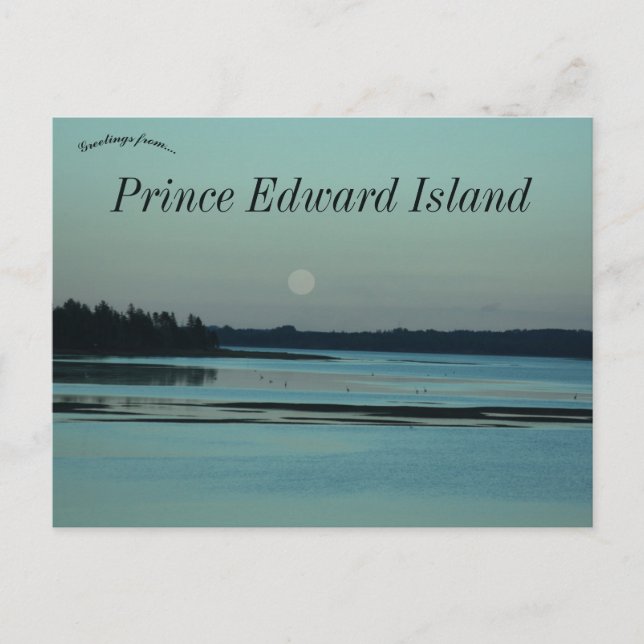 Moon Over Herons Charlottetown PEI Kanada Postkarte (Vorderseite)