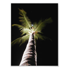 Moon Over Palm Print Fotodruck
