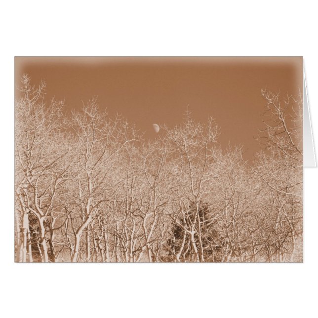 Moon Over the White Forest - Blank Inside Card (Vorderseite (Horizontal))