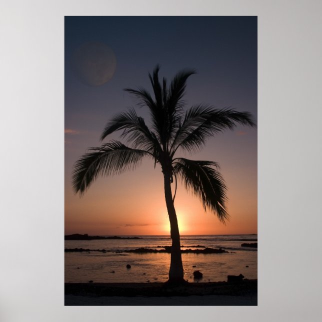 MOON PALM POSTER (Vorne)