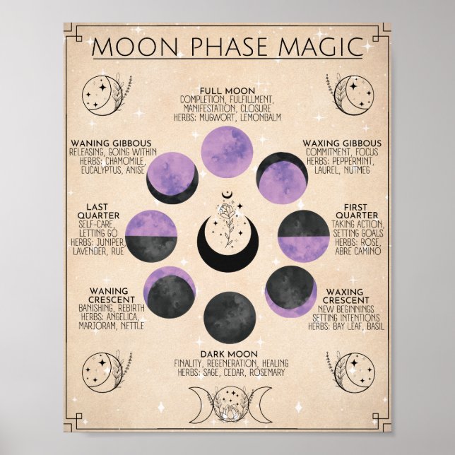 Moon Phase Art Moon Magic Poster (Vorne)