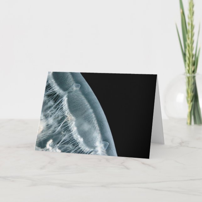 Moon Rise Karte (Vorderseite)