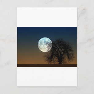 Moon Rise Postkarte