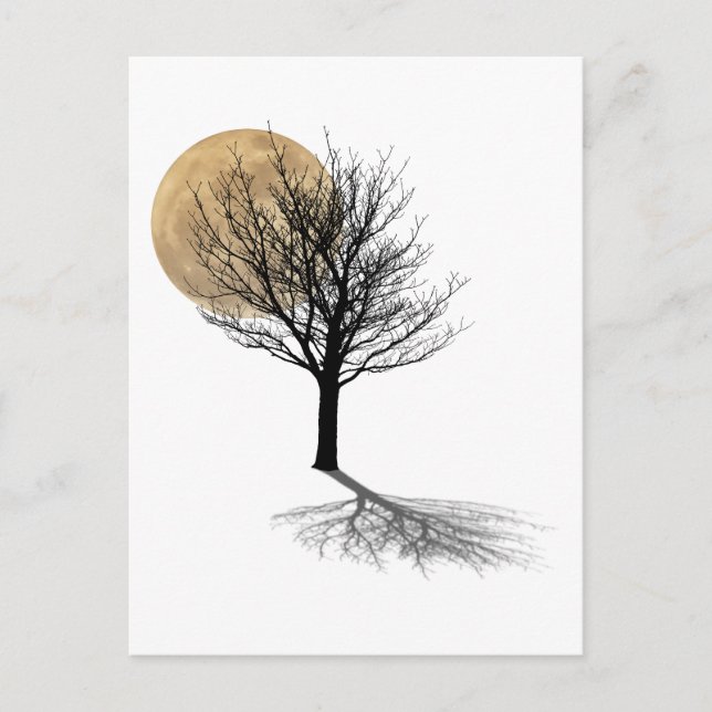 Moon Shadow Postkarte (Vorderseite)