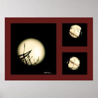 Moon Shadow Print Poster