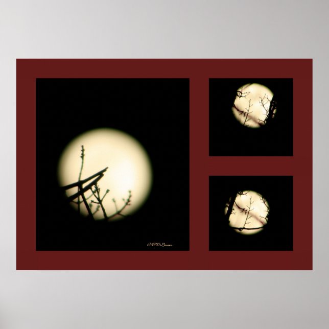 Moon Shadow Print Poster (Vorne)