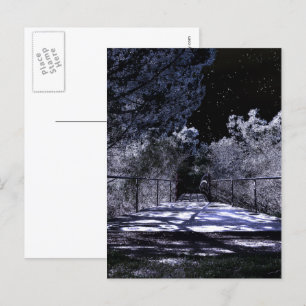 Moon Shadows Postkarte