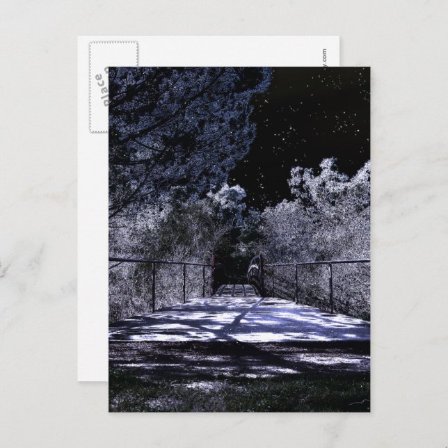 Moon Shadows Postkarte (Vorne/Hinten)