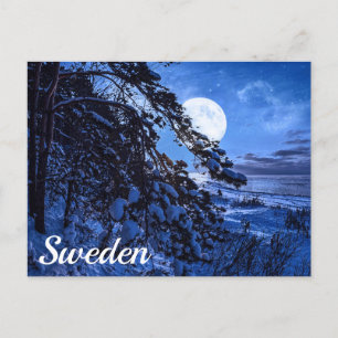 Moon über schneebedeckten Tannenbaum und Meeresküs Postkarte