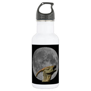 Moon und Charonosaurus Trinkflasche