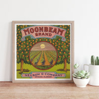 Moonbeam Brand | Vintages Zitruszeichen