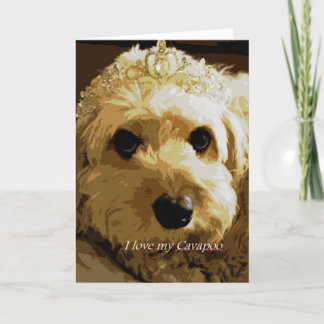 Mooncards, Cavapoo, Prinzessin, Karte