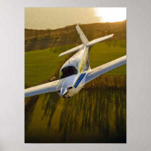 Mooney in Golden Light Poster