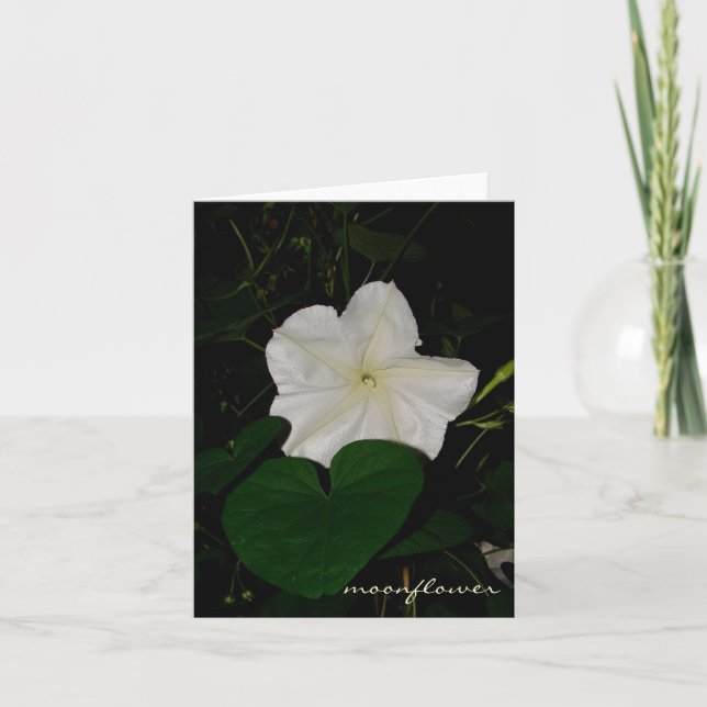 moonflower notecard karte (Vorderseite)
