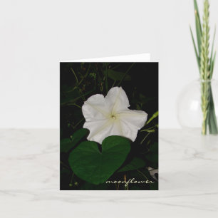 moonflower notecard karte