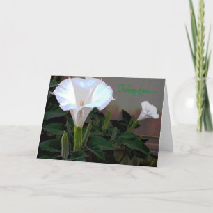 Moonflower Thinking of You Karte